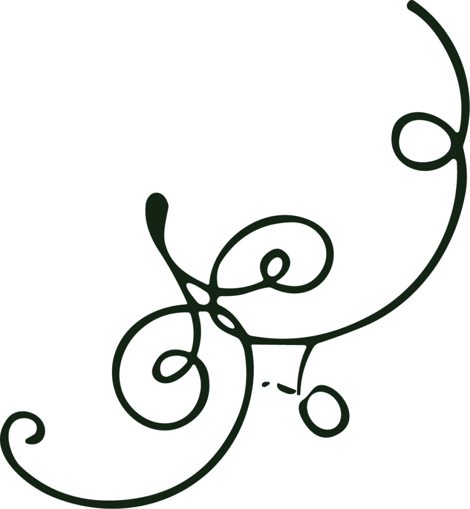 Swirl Flourish SVG Elegant Curls Vector