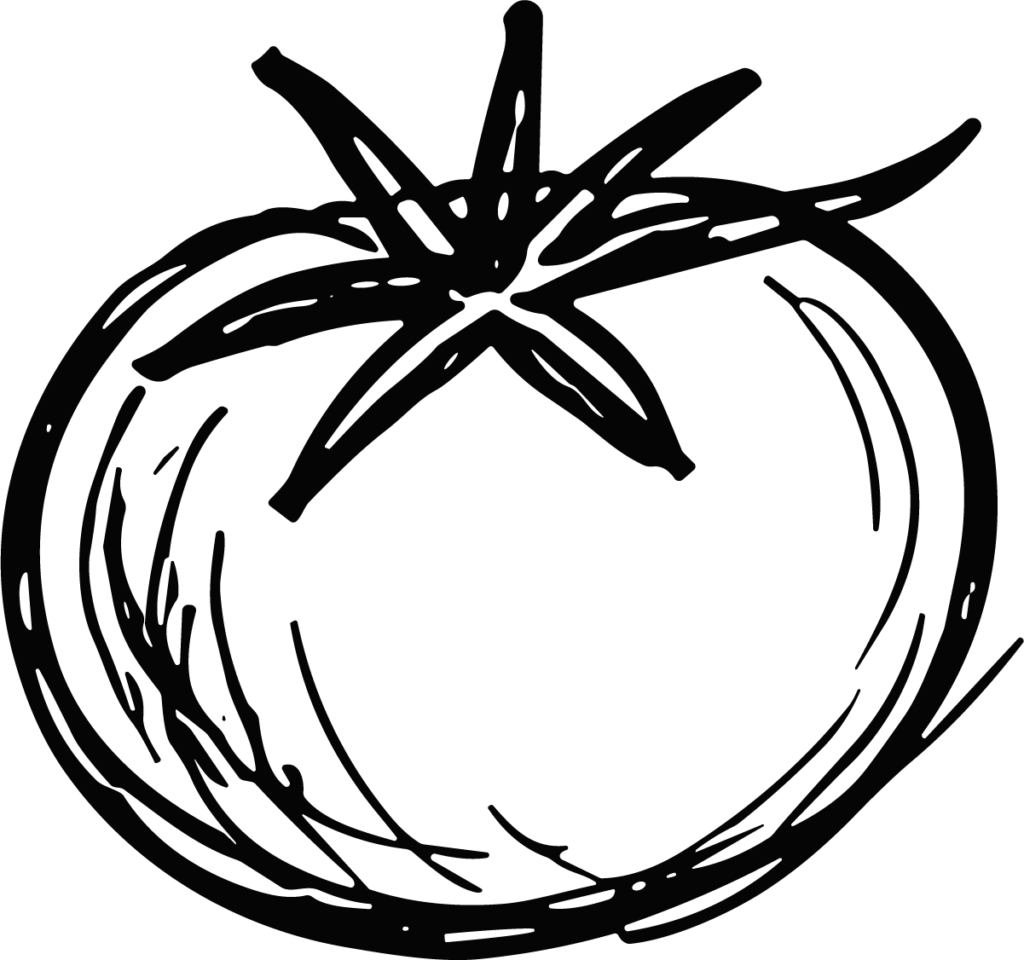 Tomato SVG Bold Sketch Vector