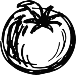 Tomato SVG Bold Sketch Vector