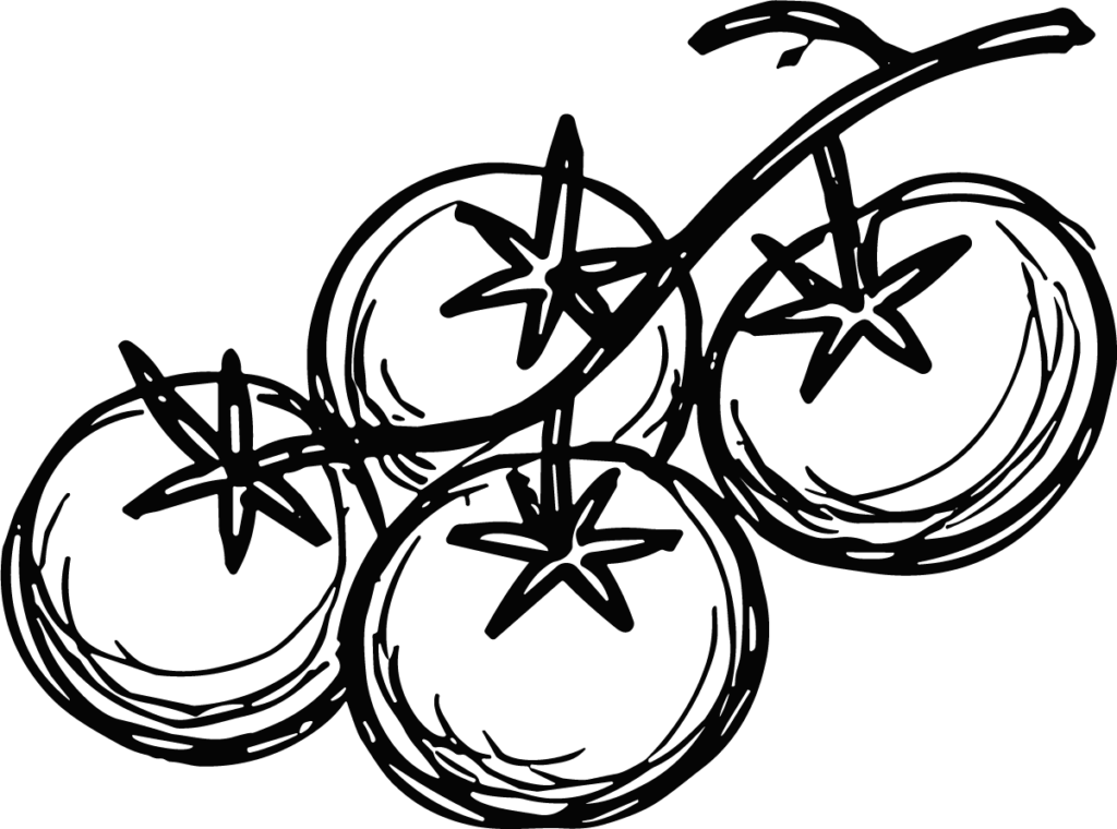 Tomatoes On Vine SVG Bold Outline Vector