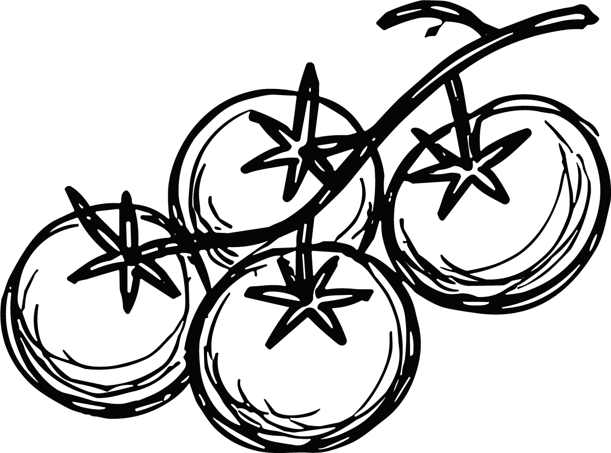 Tomatoes On Vine SVG Bold Outline Vector - Image 1