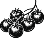 Tomatoes On Vine SVG Bold Woodcut Vector