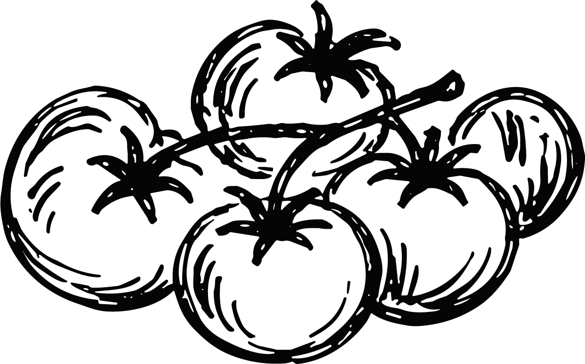 Tomatoes On Vine SVG Bold Sketch Vector - Image 1