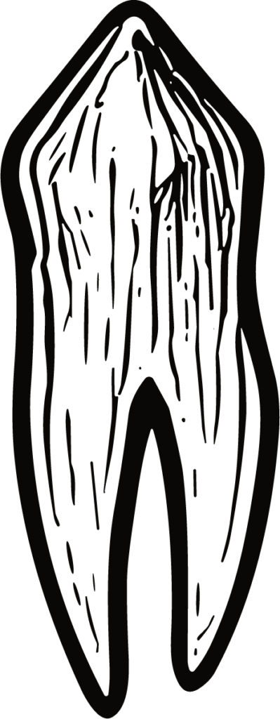 Tooth SVG Bold Woodcut Vector