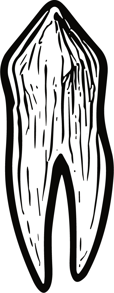 Tooth SVG Bold Woodcut Vector - Image 1
