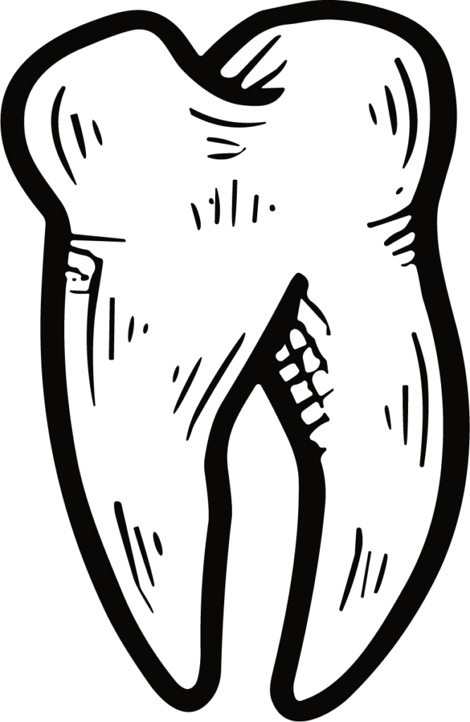 Tooth SVG Bold Sketch Vector
