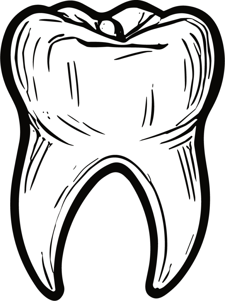 Tooth SVG Bold Outline Vector
