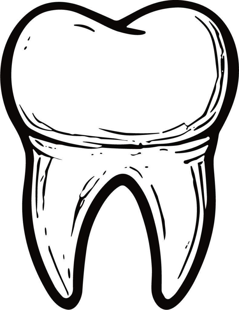 Tooth SVG Bold Outline Vector