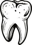 Tooth Anatomy SVG Bold Ink Vector