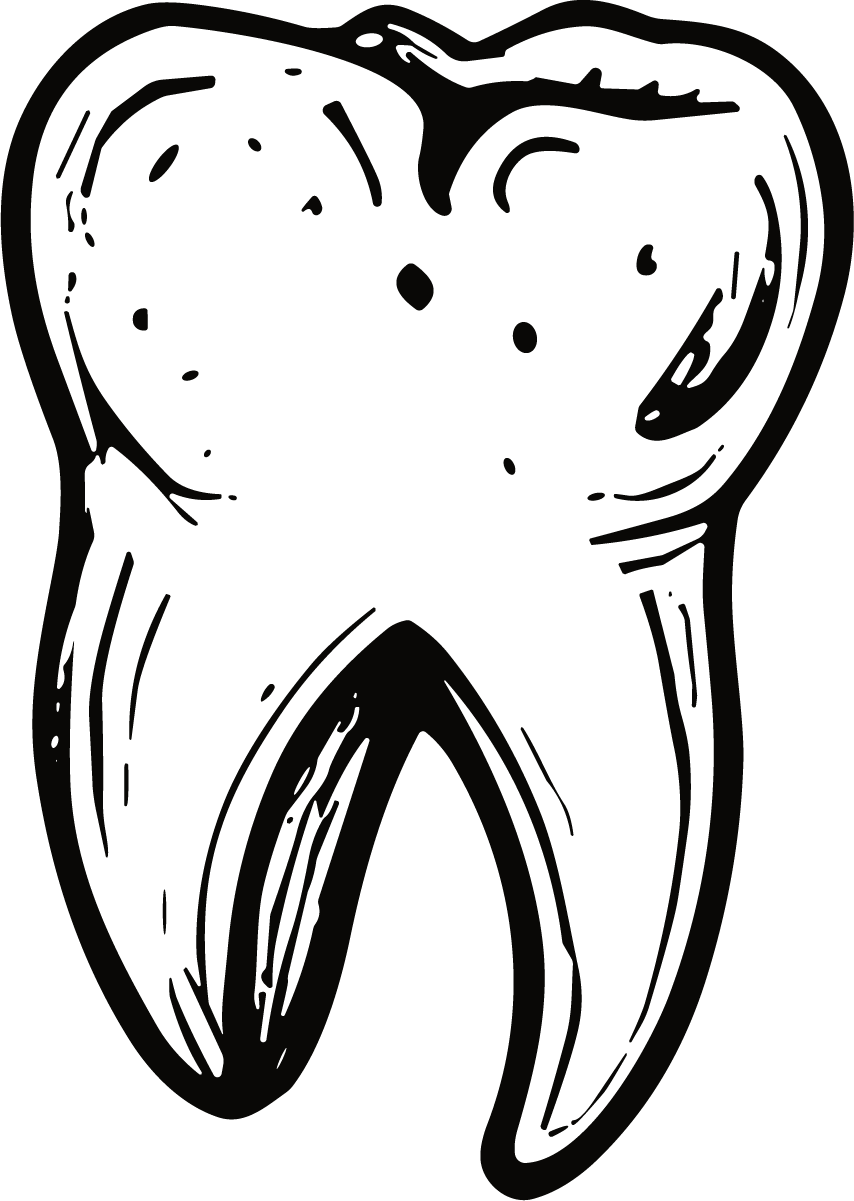 Tooth Anatomy SVG Bold Ink Vector - Image 1
