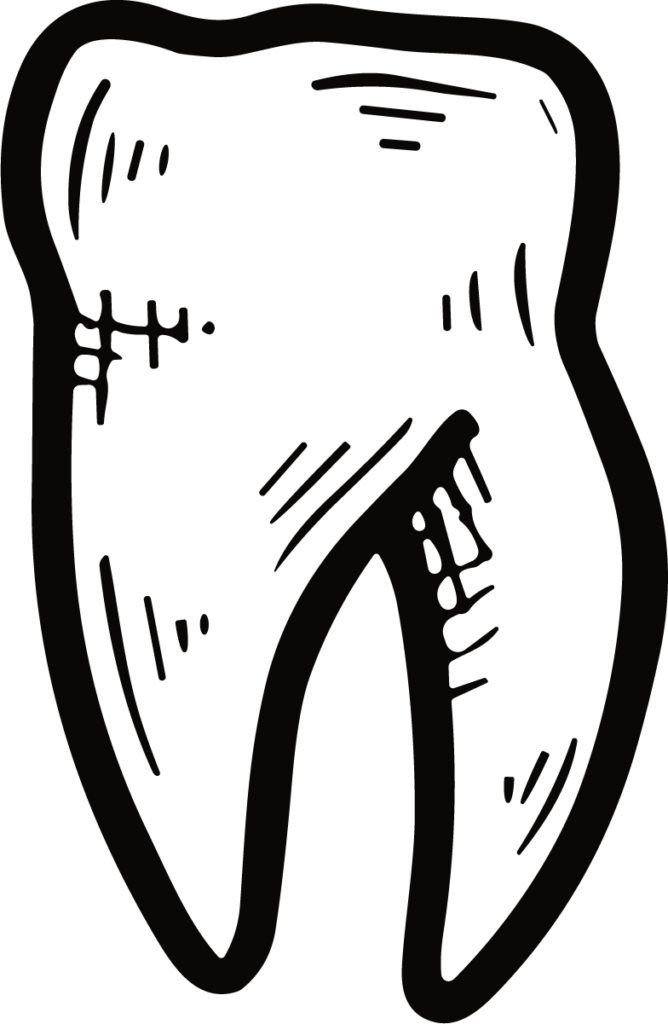 Tooth Illustration SVG Bold Sketch Vector