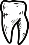 Tooth Illustration SVG Bold Sketch Vector