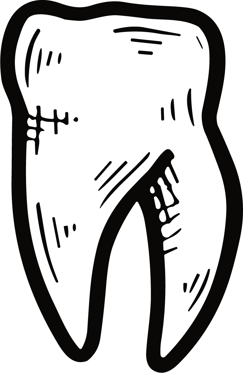 Tooth Illustration SVG Bold Sketch Vector - Image 1