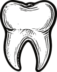 Tooth Illustration SVG Bold Outline Vector
