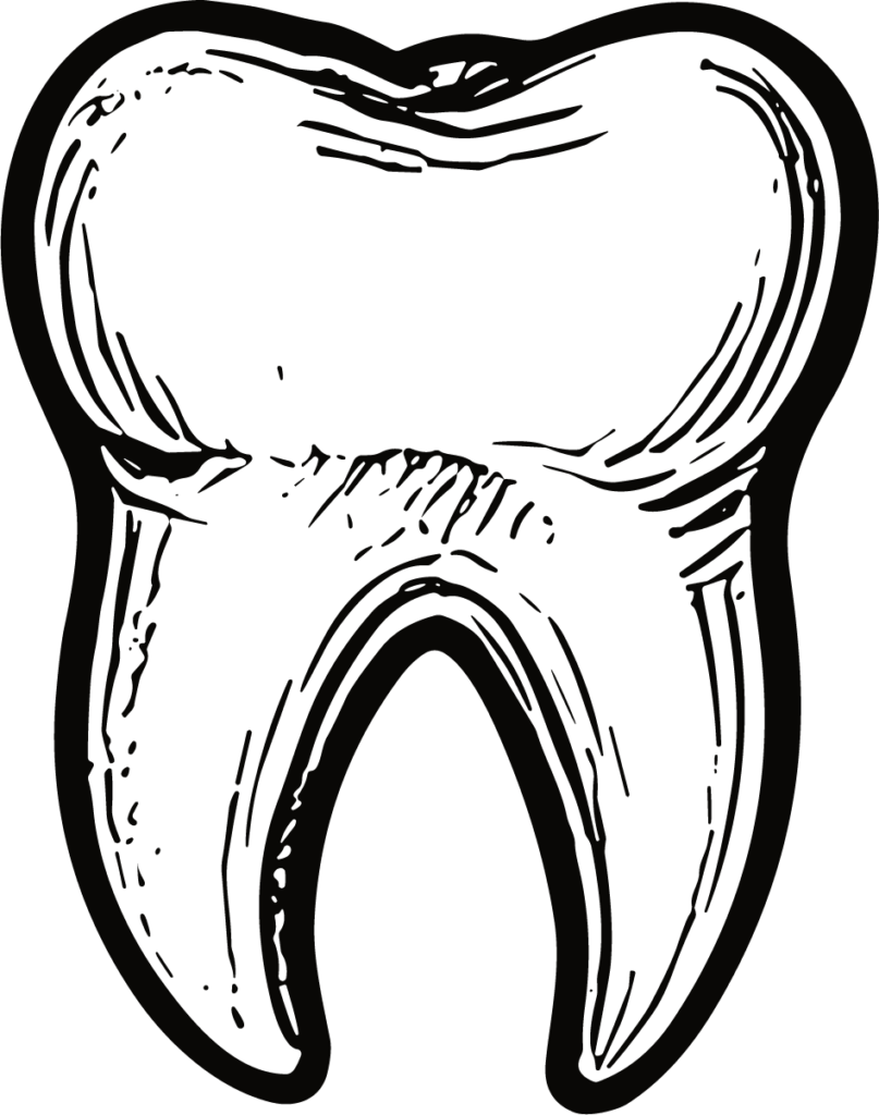 Tooth Illustration SVG Bold Outline Vector
