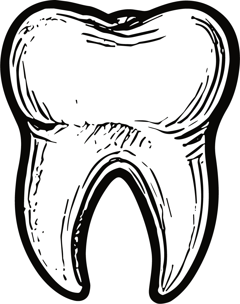 Tooth Illustration SVG Bold Outline Vector - Image 1