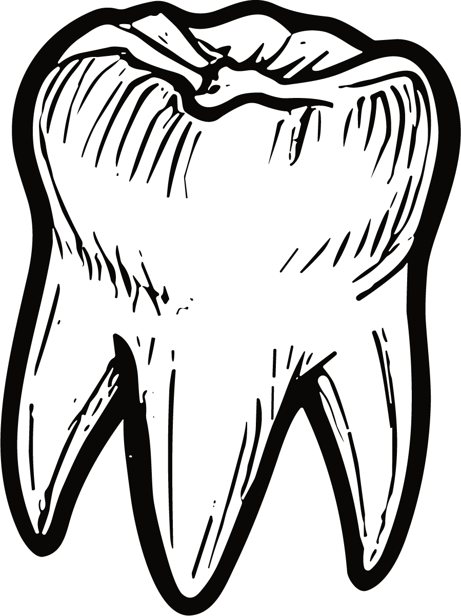 Tooth Molar SVG Bold Sketch Vector - Image 1