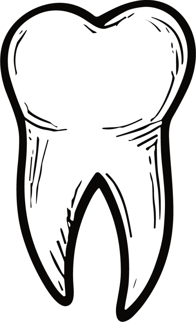 Tooth SVG Bold Outline Vector
