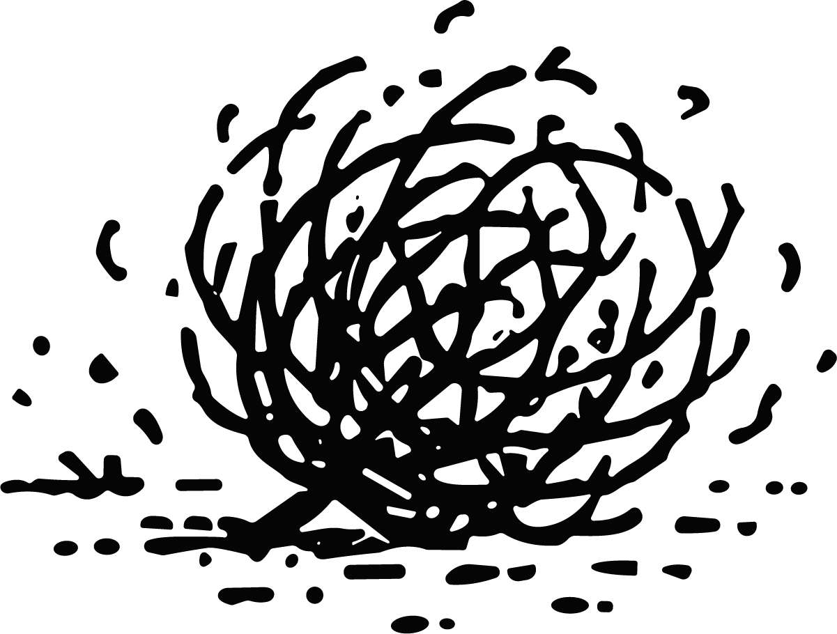 Tumbleweed SVG Tangled Sketch Vector - Image 1