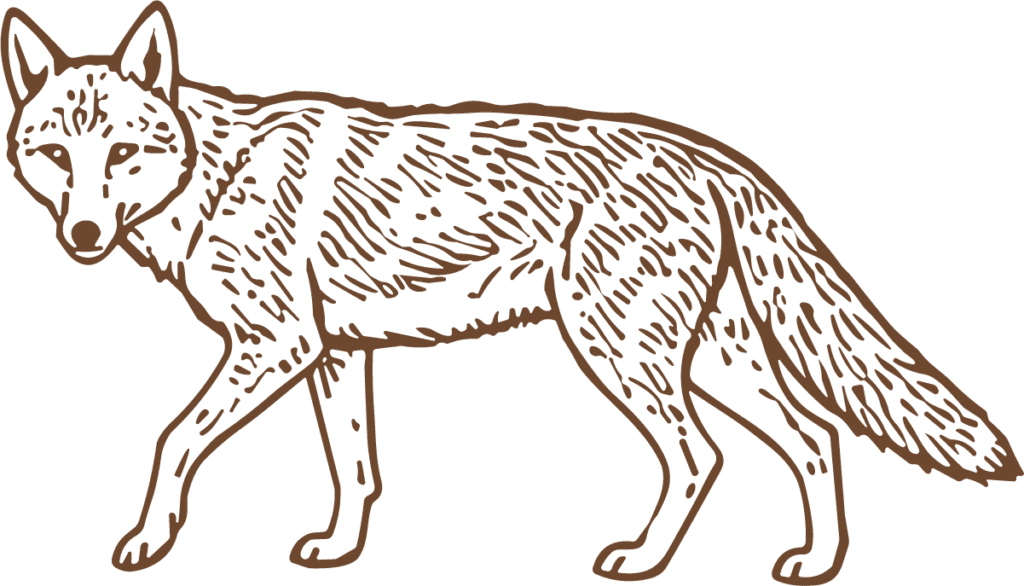 Walking Fox SVG Etched Detail Vector