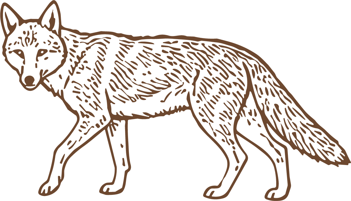 Walking Fox SVG Etched Detail Vector - Image 1