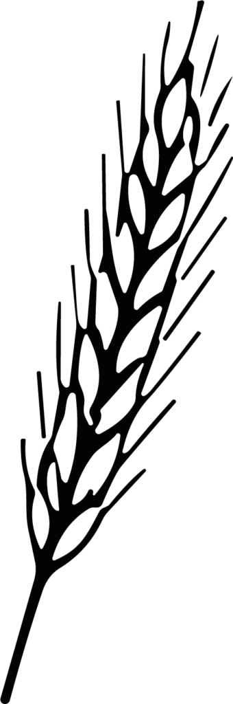 Wheat Stalk SVG Rustic Harvest Vector