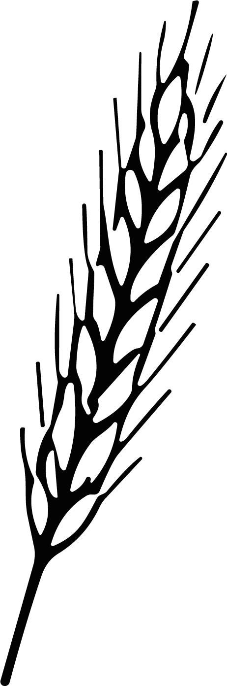 Wheat Stalk SVG Rustic Harvest Vector - Image 1