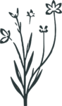 Wildflower Stems SVG Sketchy Botanical Vector