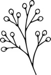Willow Branch SVG Delicate Outline Vector