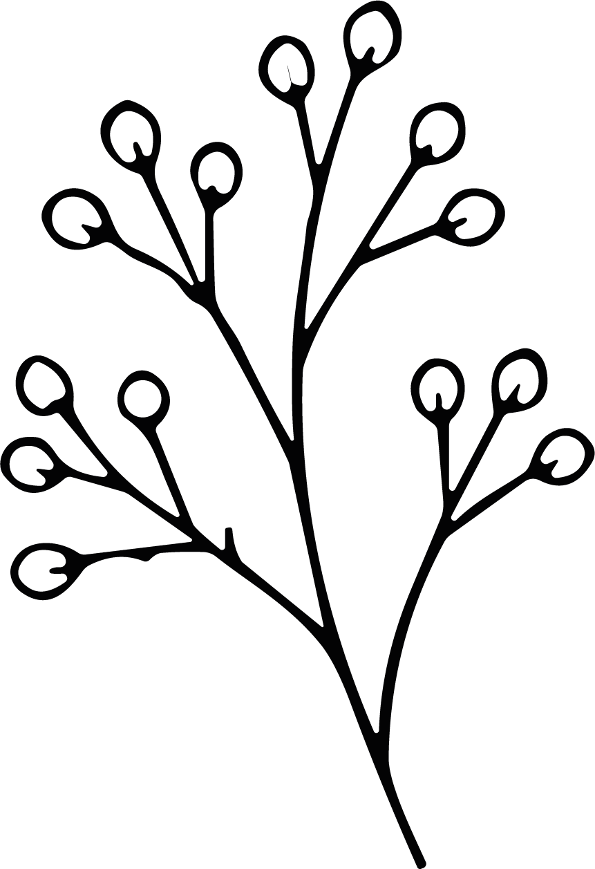 Willow Branch SVG Delicate Outline Vector - Image 1