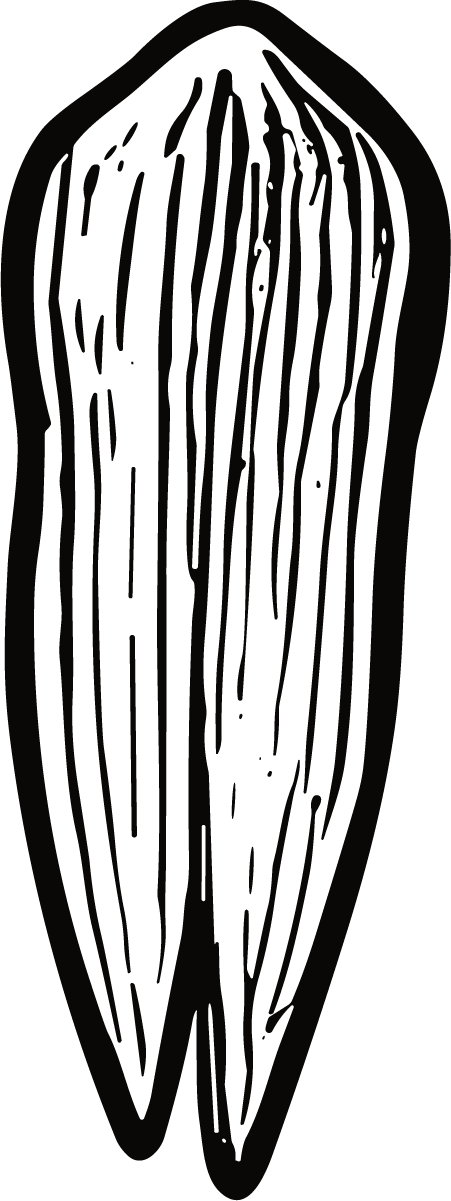 Wood Plank SVG Engraved Grain Vector - Image 1