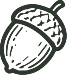 Acorn SVG Bold Outline Vector