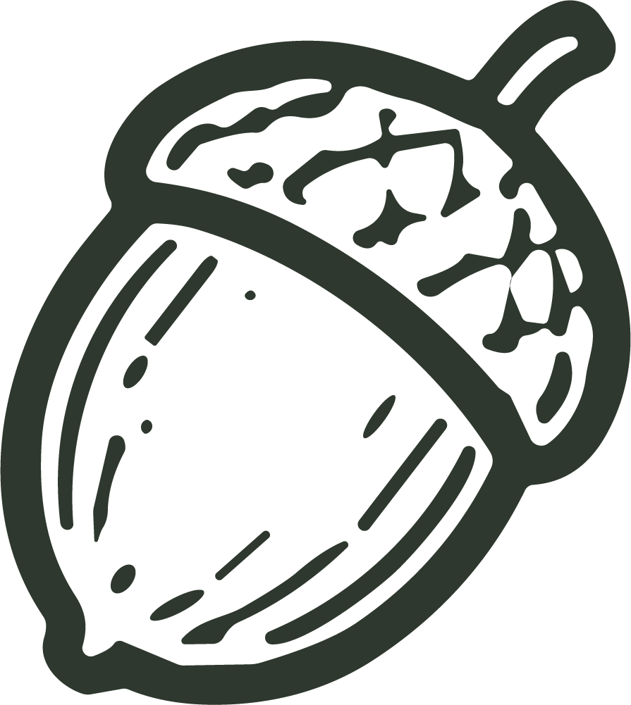 Acorn SVG Bold Outline Vector