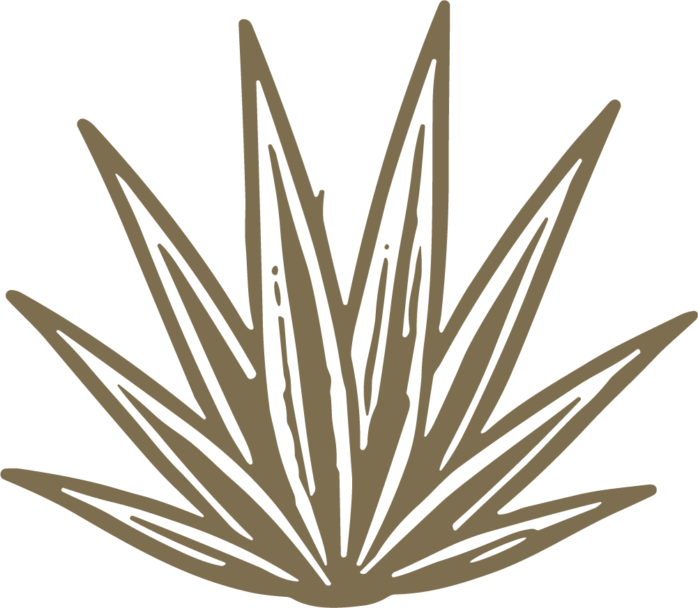 Agave Plant SVG Rustic Botanical Vector
