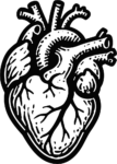 Anatomical Heart SVG Bold Engraving Vector