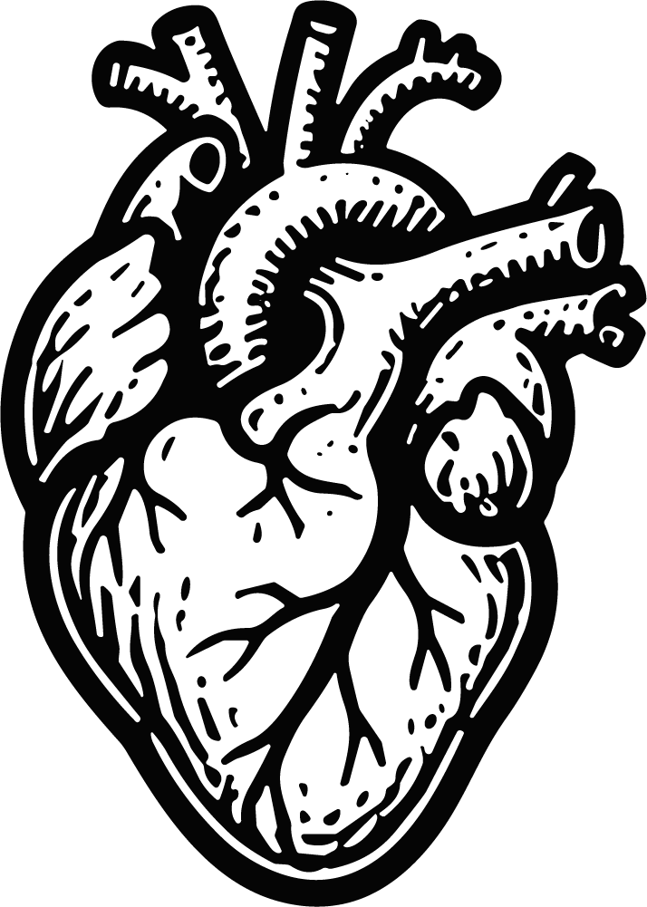 Anatomical Heart SVG Bold Engraving Vector