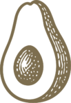 Avocado Half SVG Textured Doodle Vector