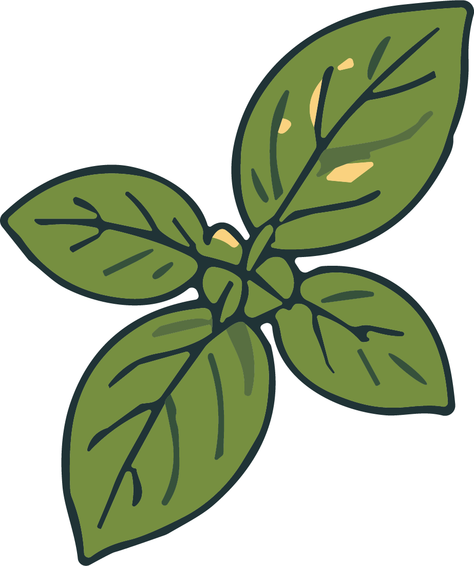 Basil Leaves SVG Rustic Sketch Vector - Image 1