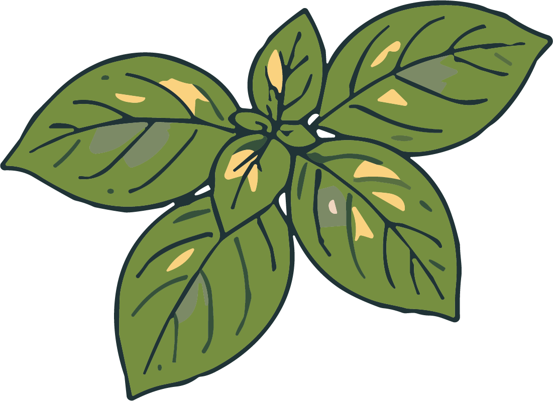 Basil Leaves SVG Rustic Botanical Vector - Image 1