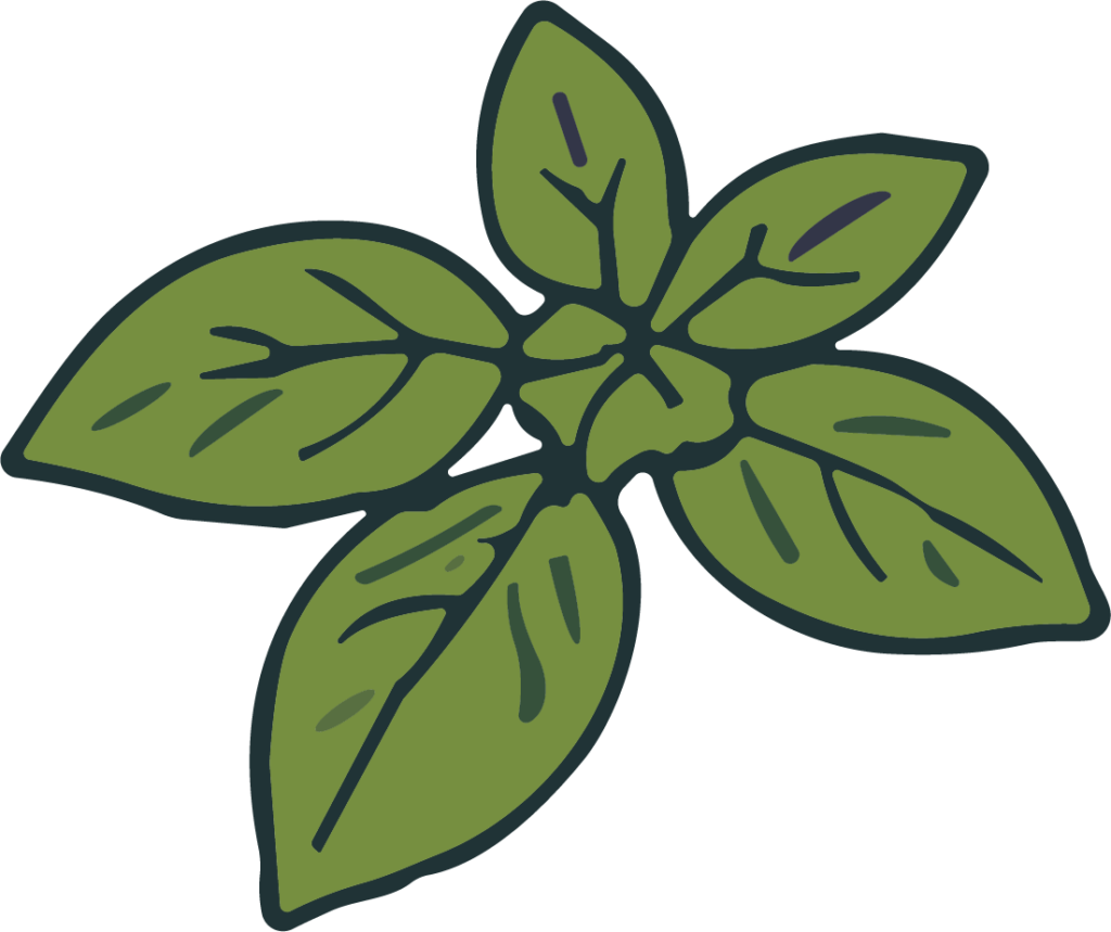 Basil Leaves SVG Fresh Garden Vector