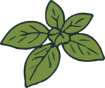 Basil Leaves SVG Fresh Garden Vector