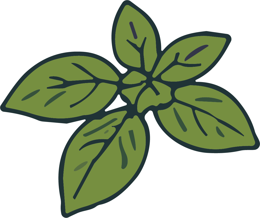 Basil Leaves SVG Fresh Garden Vector - Image 1