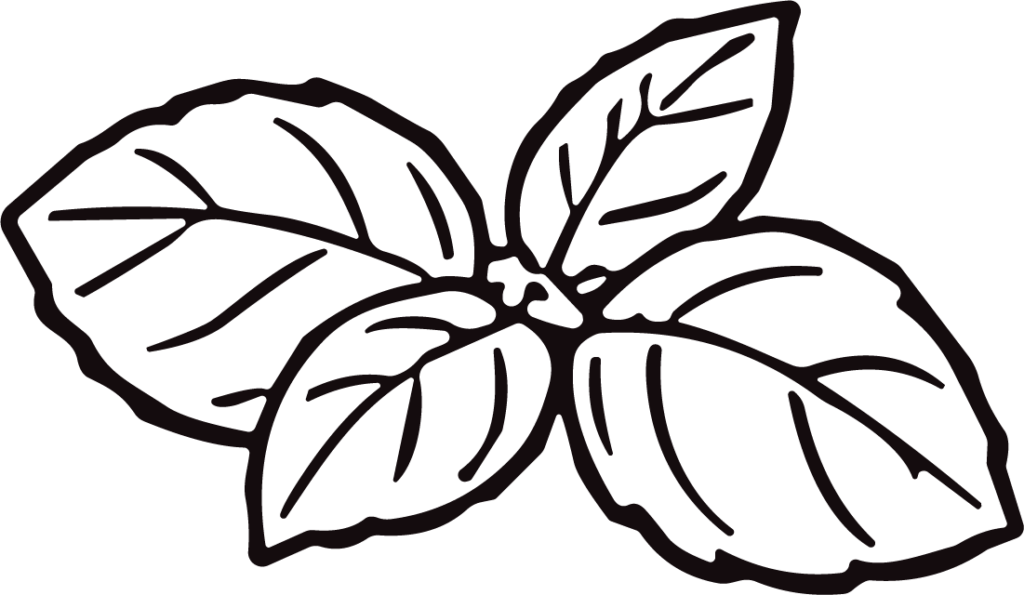 Basil Leaves SVG Bold Outline Vector