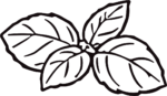 Basil Leaves SVG Bold Outline Vector