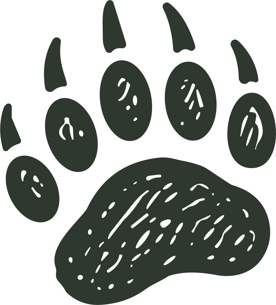 Bear Paw Print SVG Rustic Wild Vector