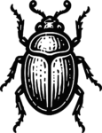 Beetle SVG Bold Woodcut Vector