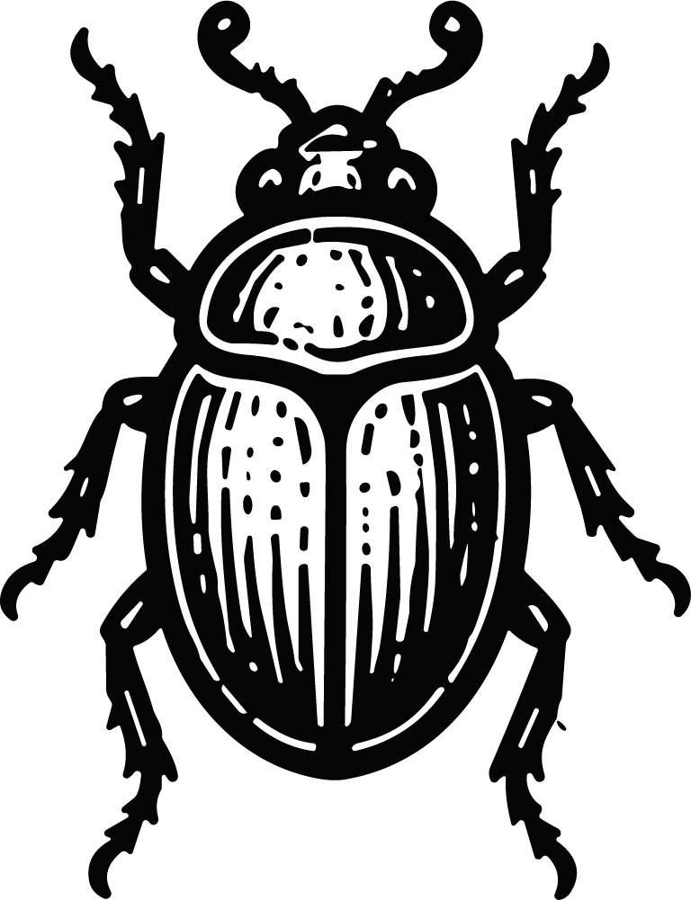 Beetle SVG Bold Woodcut Vector