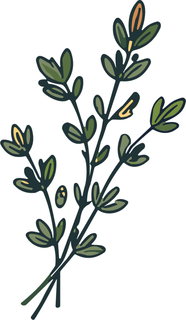 Botanical Branch SVG Rustic Foliage Vector