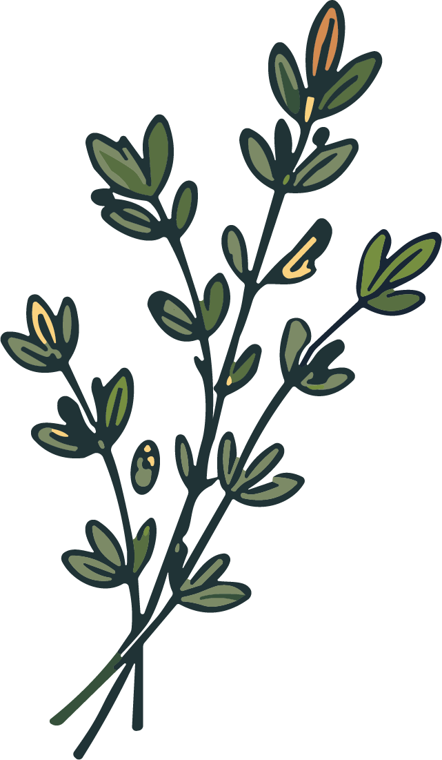 Botanical Branch SVG Rustic Foliage Vector - Image 1