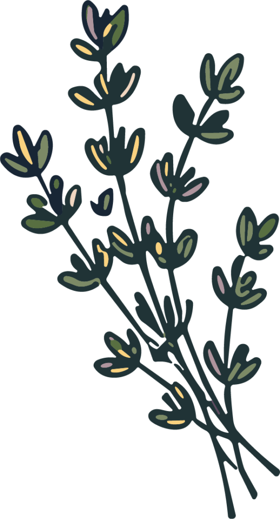 Botanical Sprig SVG Rustic Foliage Vector